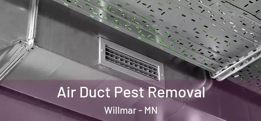 Air Duct Pest Removal Willmar - MN