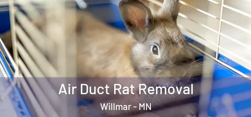  Air Duct Rat Removal Willmar - MN