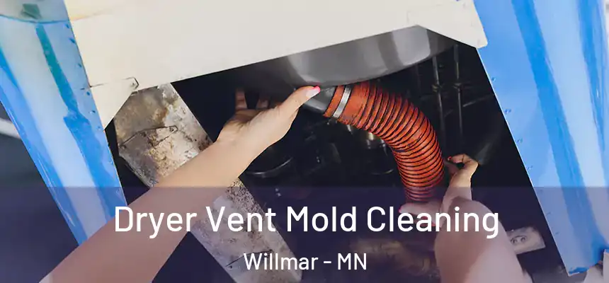 Dryer Vent Mold Cleaning Willmar - MN