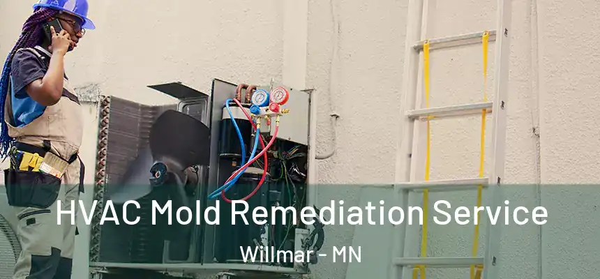  HVAC Mold Remediation Service Willmar - MN