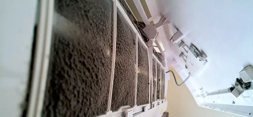 Preventive Air Duct Bacteria Removal in Willmar