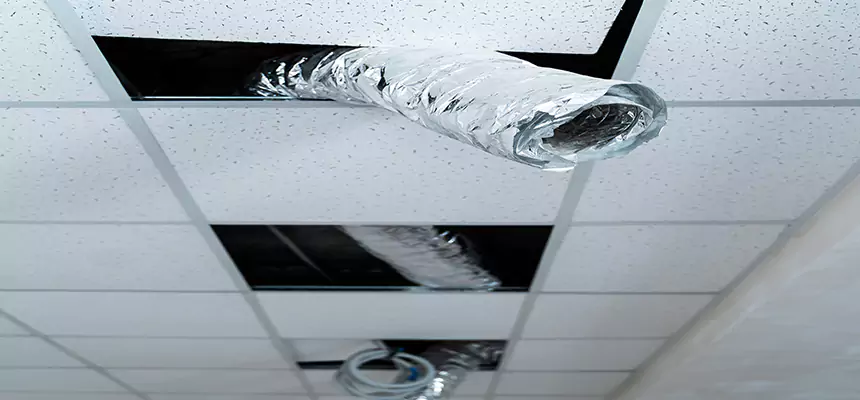 Affordable HVAC Sanitizing After Pest Removal in Willmar