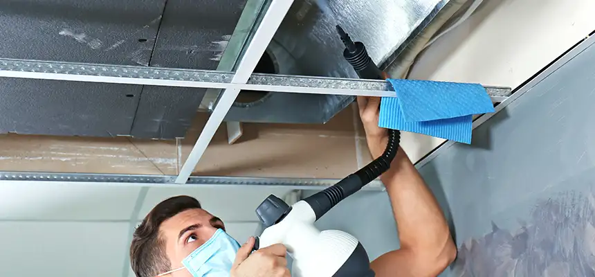 Our Air Duct Rodent Removal Services in Willmar, MN