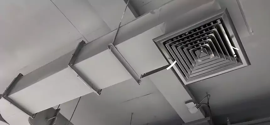 Restorative Allergy Relief Vent Cleaning – Coil, Blower & Housing Detail in Willmar