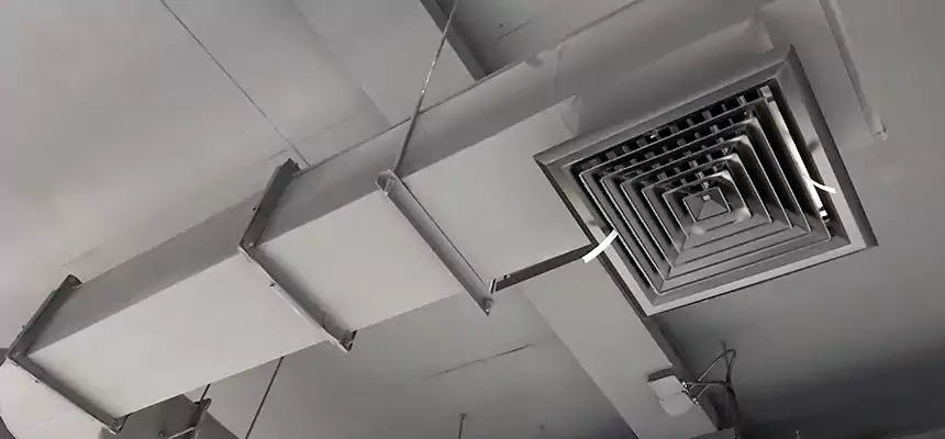 Our Pest Removal From Ducts Services in Willmar, MN