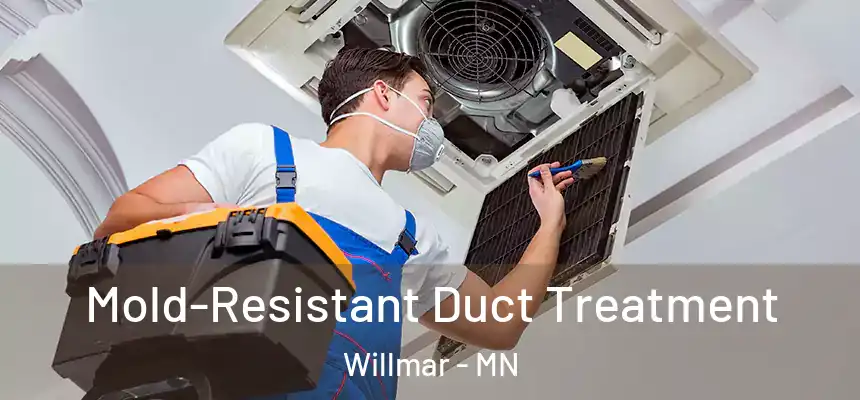  Mold-Resistant Duct Treatment Willmar - MN