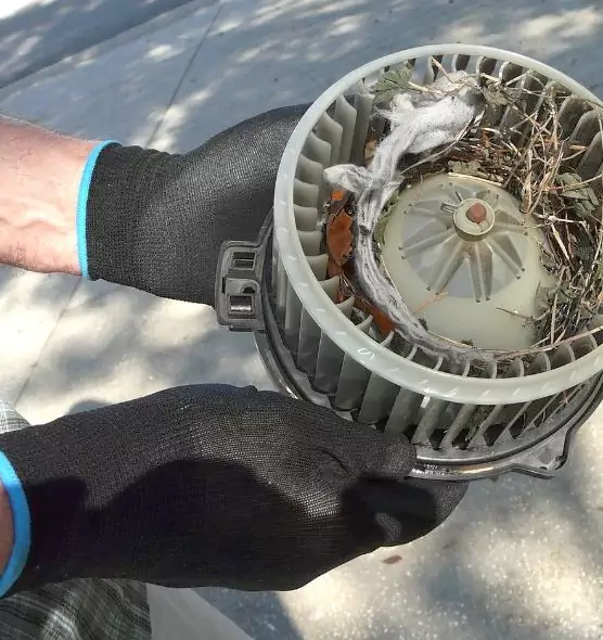 About Air Duct Mice Removal in Willmar, MN