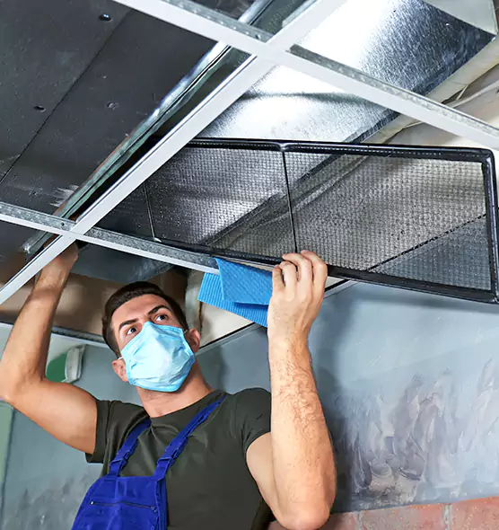 Professional Air Duct Pollen Cleaning in Willmar, MN