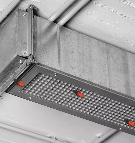 Affordable Insect Removal from Air Ducts in Willmar, MN