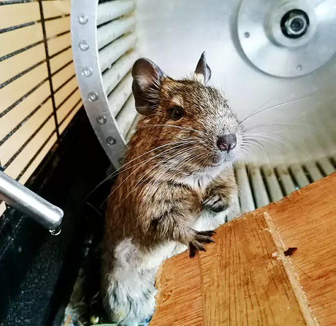 Why Homeowners & Businesses Trust Us Willmar, MN?