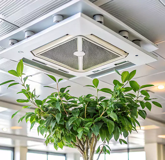 Why Homeowners & Businesses Trust Us in Willmar, MN?